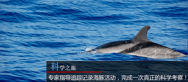 科学之旅